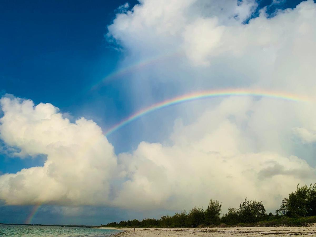 A Rocha Eco-Lodge & Conservation Centre Watamu Kültér fotó