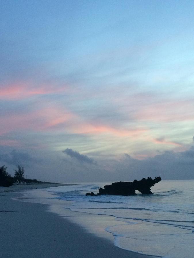 A Rocha Eco-Lodge & Conservation Centre Watamu Kültér fotó