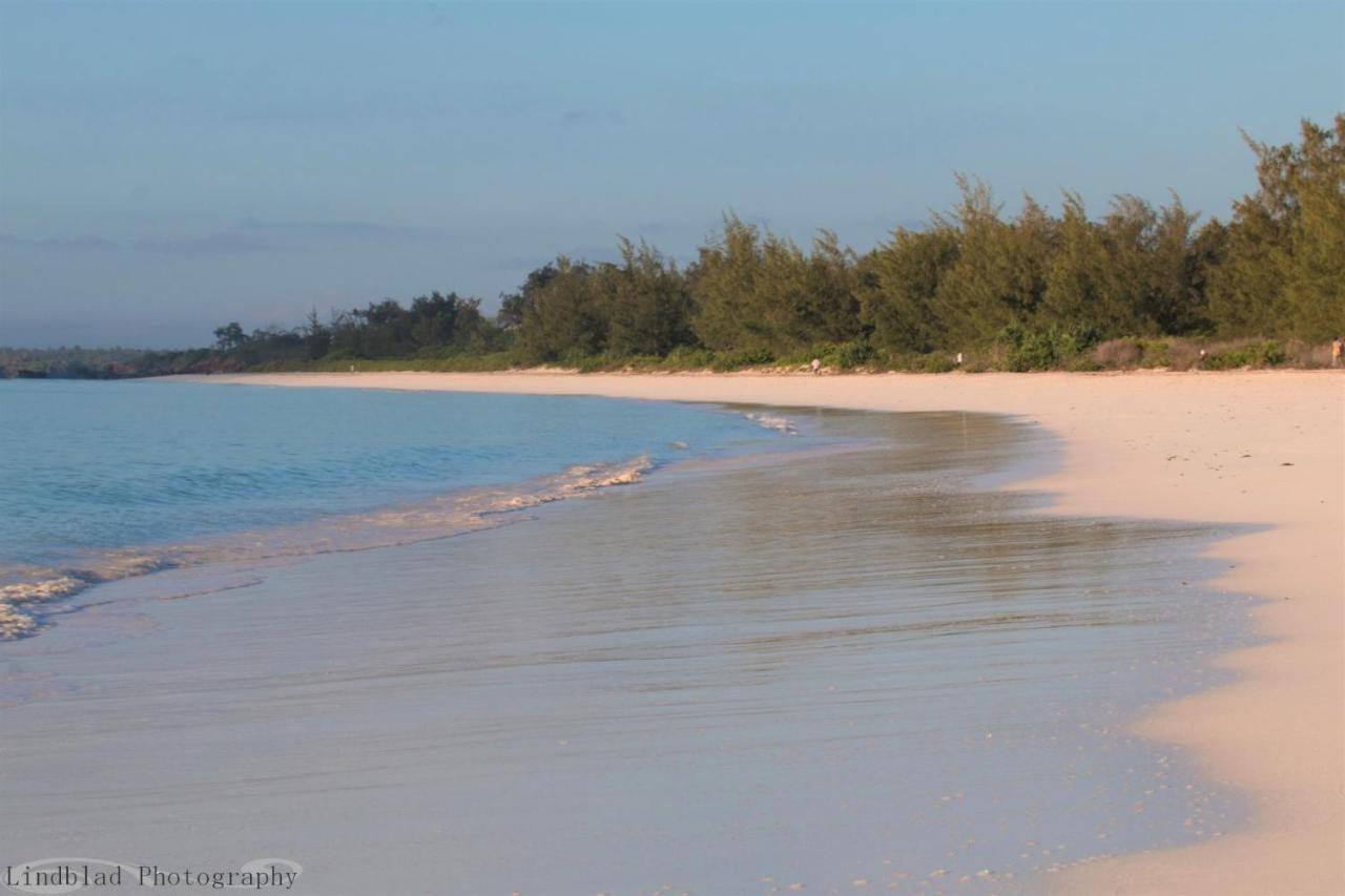 A Rocha Eco-Lodge & Conservation Centre Watamu Kültér fotó
