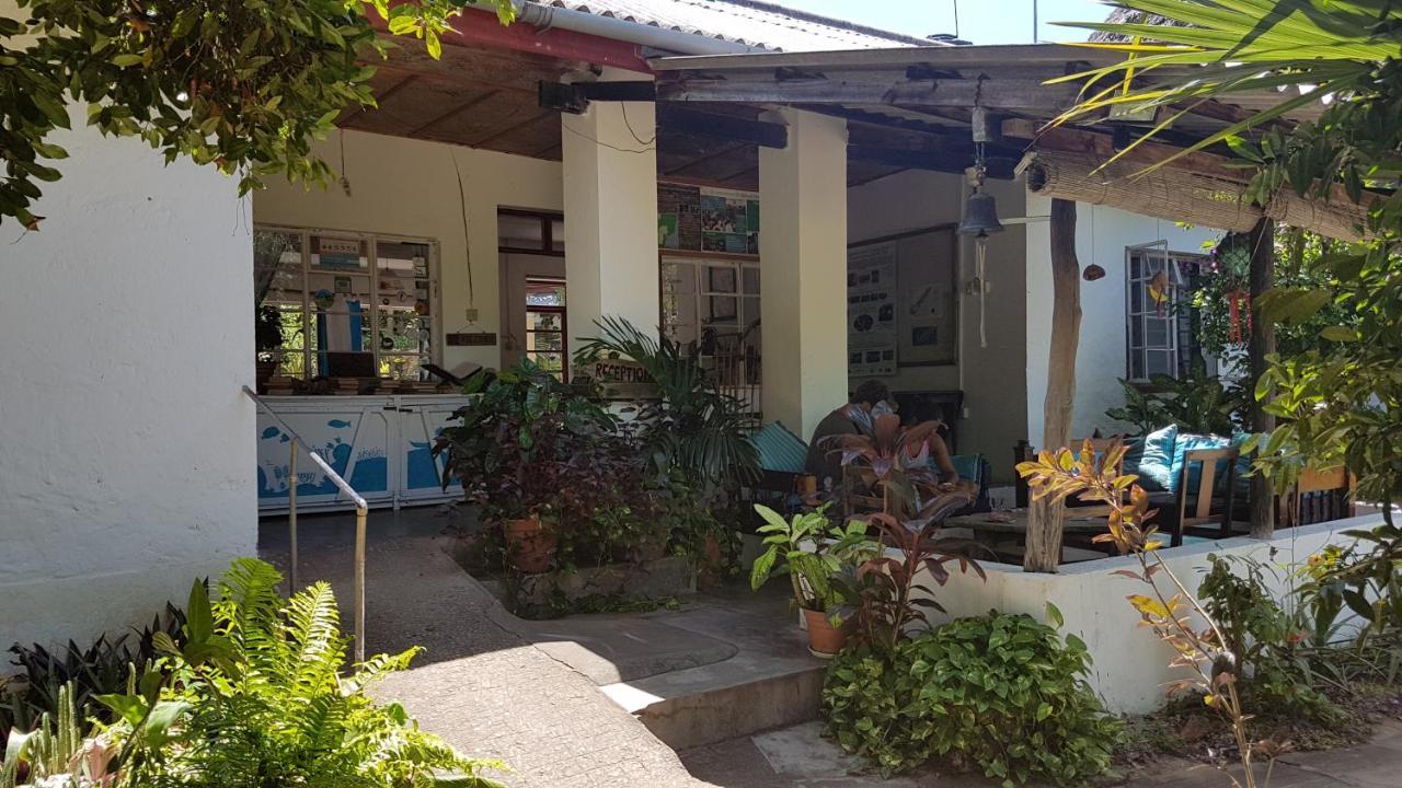 A Rocha Eco-Lodge & Conservation Centre Watamu Kültér fotó